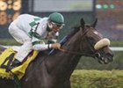 VO5 Filly & Mare Turf Preview: Limited Reps VO5 Filly & Mare Turf Preview: Limited Reps