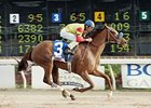 Delicate Dynamite seeks her first graded stakes victory in the Falls City.