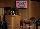 Tell It, a 15-year-old broodmare, was the day's most expensive offering, bringing $540,000 in Lexington Nov. 8.