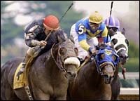 Trip to Derby May be on Line in Coolmore Lexington Trip to Derby May be on Line in Coolmore Lexington