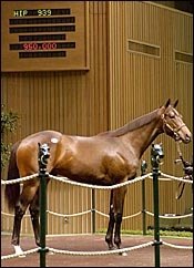 Lewises Buy Forestry Colt for $950,000 Lewises Buy Forestry Colt for $950,000