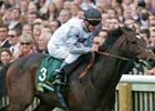 Cockney Rebel Makes Them Smile in Guineas Upset Cockney Rebel Makes Them Smile in Guineas Upset
