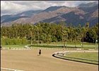 Santa Anita's Cushion Track.