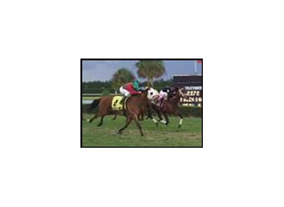 Profit Option posted an upset victory in the W. L. McKnight Handicap.