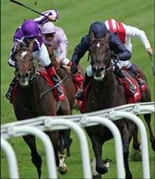 Scorpion Stings Rivals in Coronation Cup Scorpion Stings Rivals in Coronation Cup