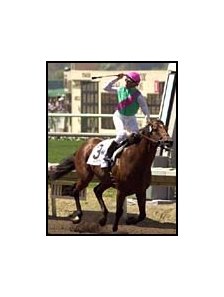 Skimming gave Bobby Frankel his sixth Pacific Classic win.