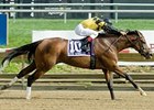 Eve Giselle powers home to take the Endine Stakes.