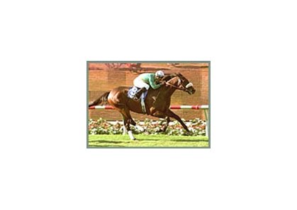 Sarafan, winning the Eddie Read Handicap.