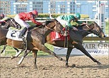 Gradepoint's Career in Jeopardy After Injury; Breakaway to Sub in Blue Grass Gradepoint's Career in Jeopardy After Injury; Breakaway to Sub in Blue Grass