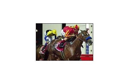 Captain Steve defeating To the Victory in the $6-million Dubai World Cup. The victory was the third for jockey Jerry Bailey in the world's richest race that was run for the sixth time Saturday.