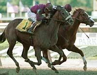 Burning Roma Wins Futurity Via City Zip DQ Burning Roma Wins Futurity Via City Zip DQ