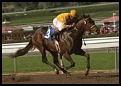 Steve Haskin's Derby Report: Mission Impossible? (2/4/2002) Steve Haskin's Derby Report: Mission Impossible? (2/4/2002)