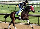 New Injury Diagnosis for International Star New Injury Diagnosis for International Star