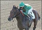 Mineshaft, will enter stud in 2004 for a fee of $100,000.