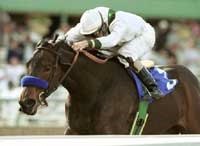 Chilukki Turns Tables on Spain, Wins El Encino Chilukki Turns Tables on Spain, Wins El Encino