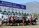 $144.3 Million Wagered on Breeders' Cup Races $144.3 Million Wagered on Breeders' Cup Races