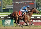 Majestic Warrior, impressive winner of the 2007 Hopeful Stakes (gr. I) at Saratoga, has been retired from racing for stallion duty in 2009 at Ashford Stud near Versailles, Ky.