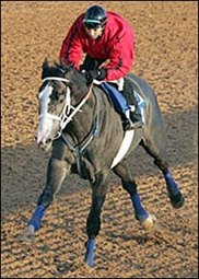 Rockport Harbor, Afleet Alex, Consolidator Work at Oaklawn Park Rockport Harbor, Afleet Alex, Consolidator Work at Oaklawn Park