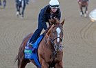 Euroears<br><a target="blank" href="http://www.bloodhorse.com/horse-racing/photo-store?ref=http%3A%2F%2Fpictopia.com%2Fperl%2Fgal%3Fprovider_id%3D368%26ptp_photo_id%3D9727522%26ref%3Dstory">Order This Photo</a>