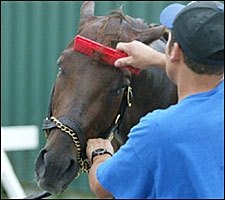 Smarty Ready For Friday's Big Work Smarty Ready For Friday's Big Work