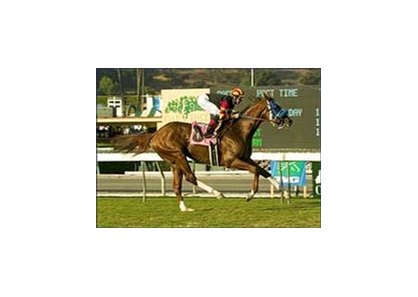 Symphony Sid wins the Carleton F. Burke Handicap, Saturday at Santa Anita.