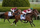 Stormalory won the Transylvania Stakes at Keeneland in April.