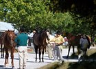Keeneland September Sale