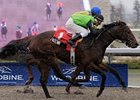 Patena fights off Hooh Why to take the Display Stakes at Woodbine.