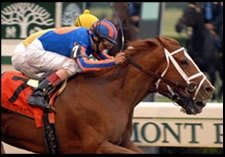 Rags to Riches Posts Easy Tightener for CCA Oaks Rags to Riches Posts Easy Tightener for CCA Oaks