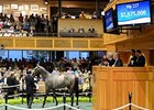 Wait No More, a daughter of Medaglia d'Oro topped the sale, bringing $1,575,000 during the second session.