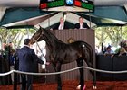 Hip 94; Cup o' Joe; colt; Medaglia d'Oro - Bayou Plans by Bayou Hebert was the top-seller at $1.6 million.
