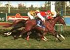 Slight favorite Veil of Avalon overtook Snow Dance in the final strides to win the De La Rose Handicap.