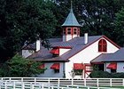 Calumet Farm, which Sladon guided through bankruptcy in the early 1990s.