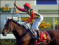 Falbrav Says Farewell with Hong Kong Cup Romp Falbrav Says Farewell with Hong Kong Cup Romp