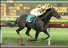Hero's Tribute wins the Gulfstream Park Handicap.
