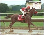 Tenpins Repels X Country for Fayette Win Tenpins Repels X Country for Fayette Win