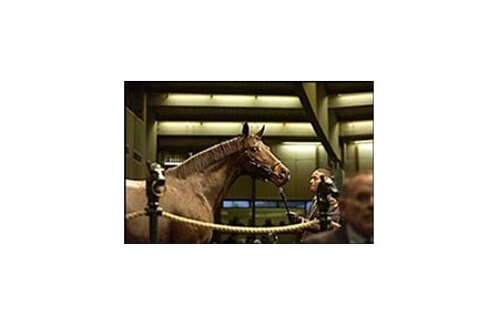 Cozzene's Angel, brought $1.35 million at Keeneland sale.