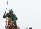 Rolling Sea takes the Truly Bound, one of 6 wins for Steve Asmussen at Fair Grounds on Jan. 17.