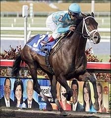 'Daddy Just Dandy in Florida Derby 'Daddy Just Dandy in Florida Derby