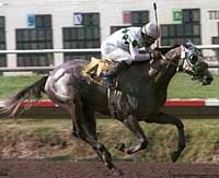 Give Praise Earns Kudos With Sorrento Win Give Praise Earns Kudos With Sorrento Win