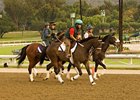 Santa Anita Dirt Track.