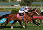 Bim Bam (inside) surged late to upset Interactif by a nose in the Hallandale Beach Stakes at Gulfstream Park.