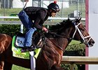 Afleet Alex Aims to Complete Own Triple Crown Afleet Alex Aims to Complete Own Triple Crown