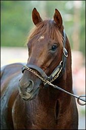 Smarty Jones Reading Room (5/21) Smarty Jones Reading Room (5/21)