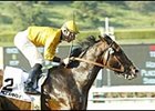 McCann's Mojave won the spill-marred Potrero Grande.