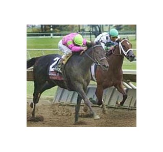 Mark Guidry guides She's a Devil Due to the wire, beating out Nasty Storm (not pictured) and Cash Deal to win the Alcibiades on Sunday at Keeneland.