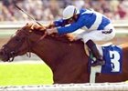 Fourty Niners Son ends long drought with this San Luis Rey win.<br><a target="blank" href="http://www.bloodhorse.com/horse-racing/photo-store?ref=http%3A%2F%2Fpictopia.com%2Fperl%2Fgal%3Fprovider_id%3D368%26ptp_photo_id%3D923835%26ref%3Dstory">Order This