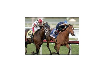 California-bred Musique Toujours (3), with Jorge Chavez riding, holds off the challenge of Zakocity (4) to win the Ocala Breeders Sales Classic on Sunshine Millions Day at Gulfstream Park.
