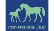 Irish National Stud Buys Stake in Medecis Irish National Stud Buys Stake in Medecis