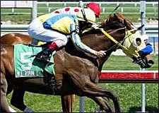 Jill Robin L Takes Bonnie Miss at the Wire Jill Robin L Takes Bonnie Miss at the Wire